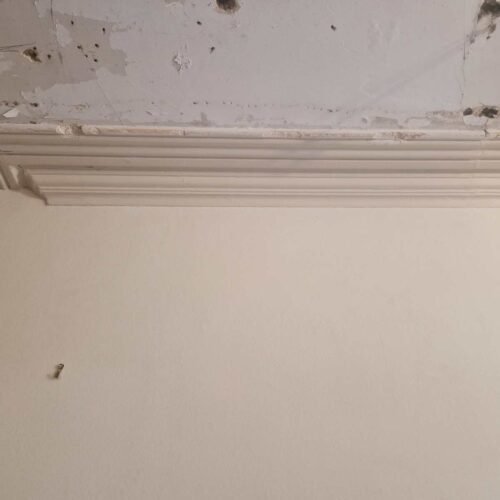 Reparos e Manutenção de Gesso
