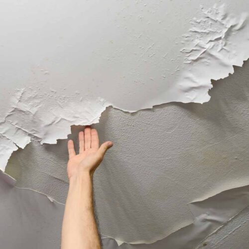 Reparos e Manutenção de Gesso